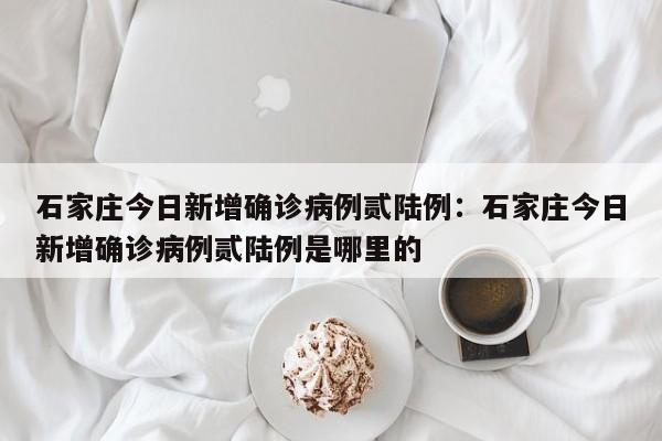 石家庄今日新增确诊病例贰陆例：石家庄今日新增确诊病例贰陆例是哪里的