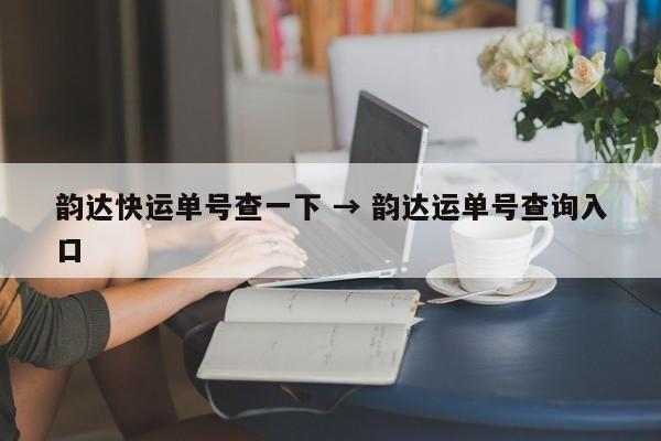 韵达快运单号查一下 → 韵达运单号查询入口