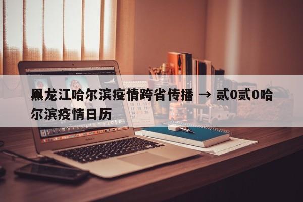 黑龙江哈尔滨疫情跨省传播 → 贰0贰0哈尔滨疫情日历