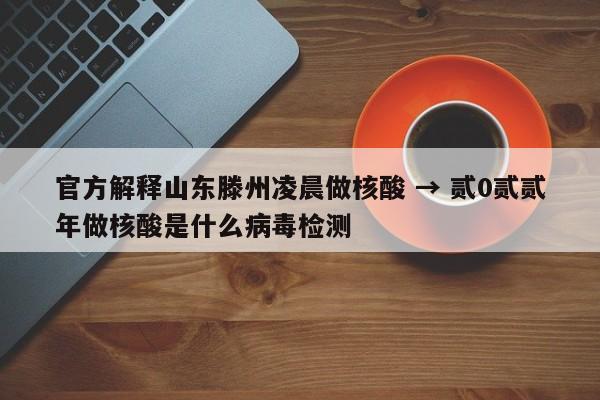 官方解释山东滕州凌晨做核酸 → 贰0贰贰年做核酸是什么病毒检测